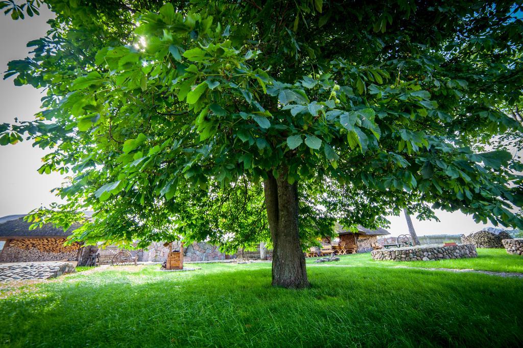 Siedlisko Wigry Bed and Breakfast Rosochaty Rog Εξωτερικό φωτογραφία