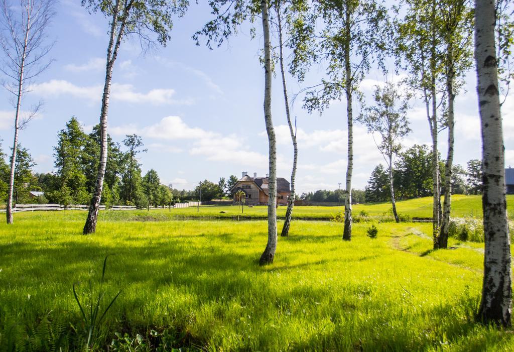 Siedlisko Wigry Bed and Breakfast Rosochaty Rog Εξωτερικό φωτογραφία