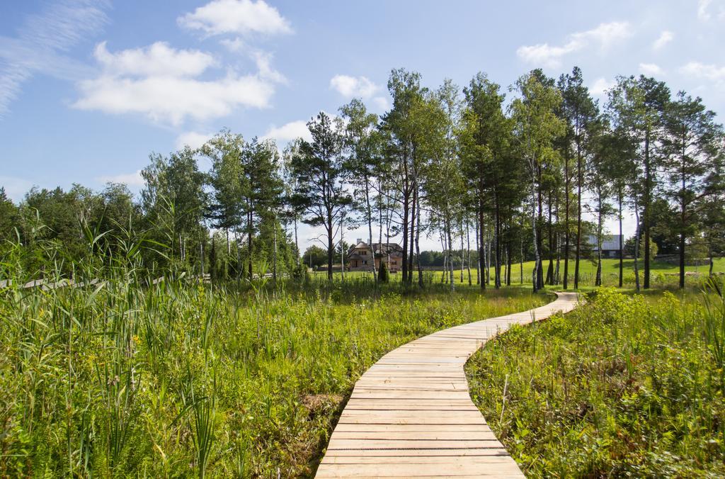Siedlisko Wigry Bed and Breakfast Rosochaty Rog Εξωτερικό φωτογραφία