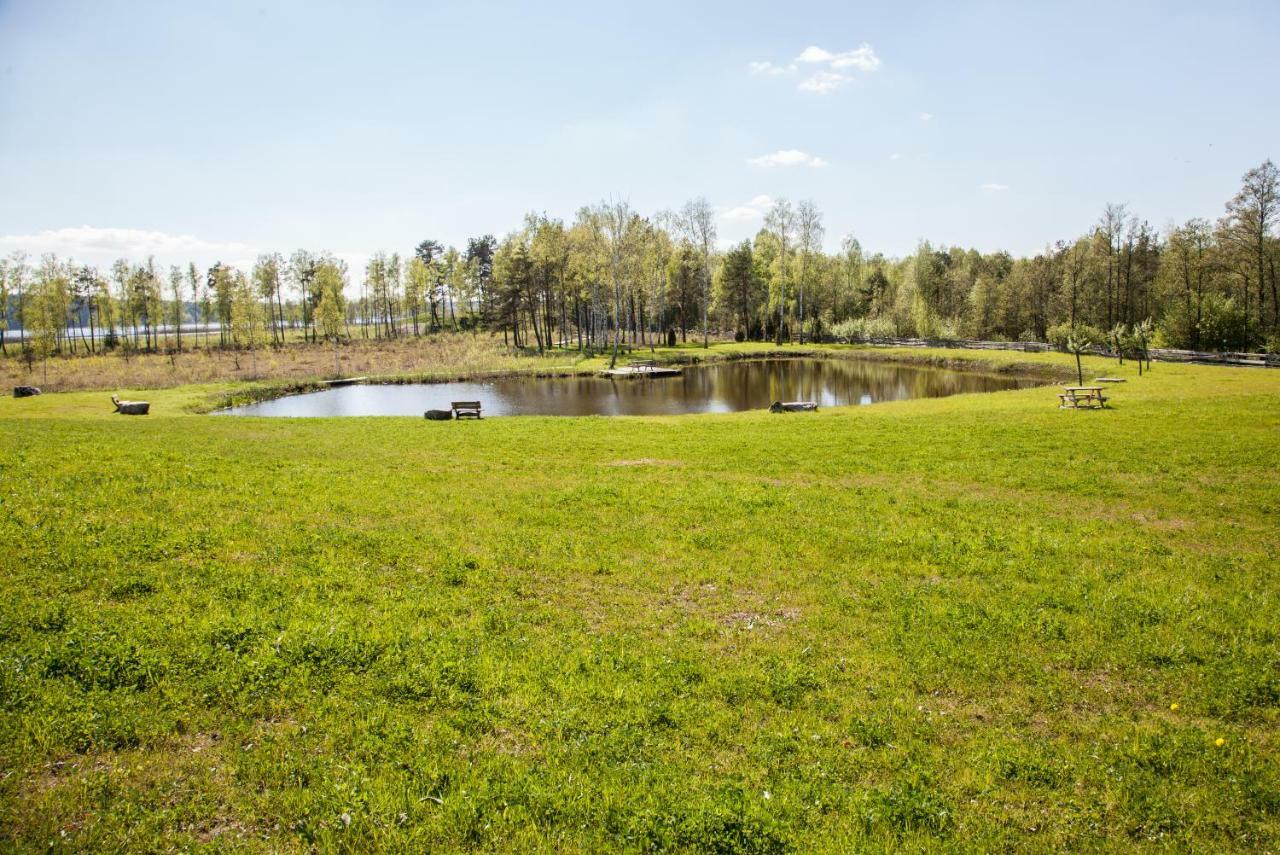 Siedlisko Wigry Bed and Breakfast Rosochaty Rog Εξωτερικό φωτογραφία