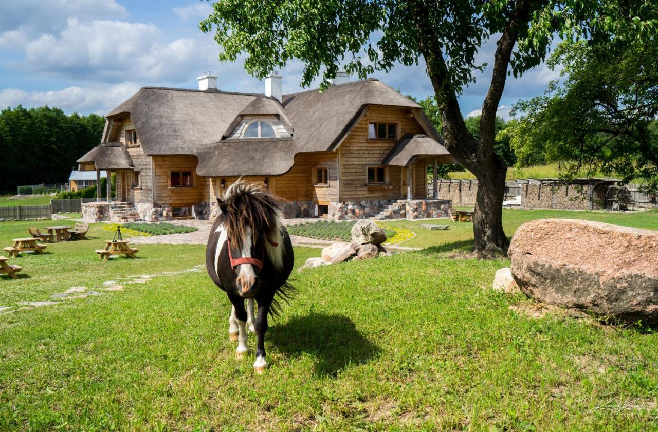 Siedlisko Wigry Bed and Breakfast Rosochaty Rog Εξωτερικό φωτογραφία