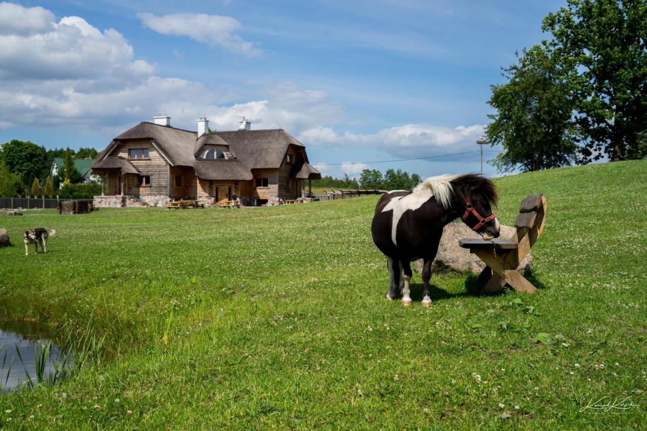 Siedlisko Wigry Bed and Breakfast Rosochaty Rog Εξωτερικό φωτογραφία