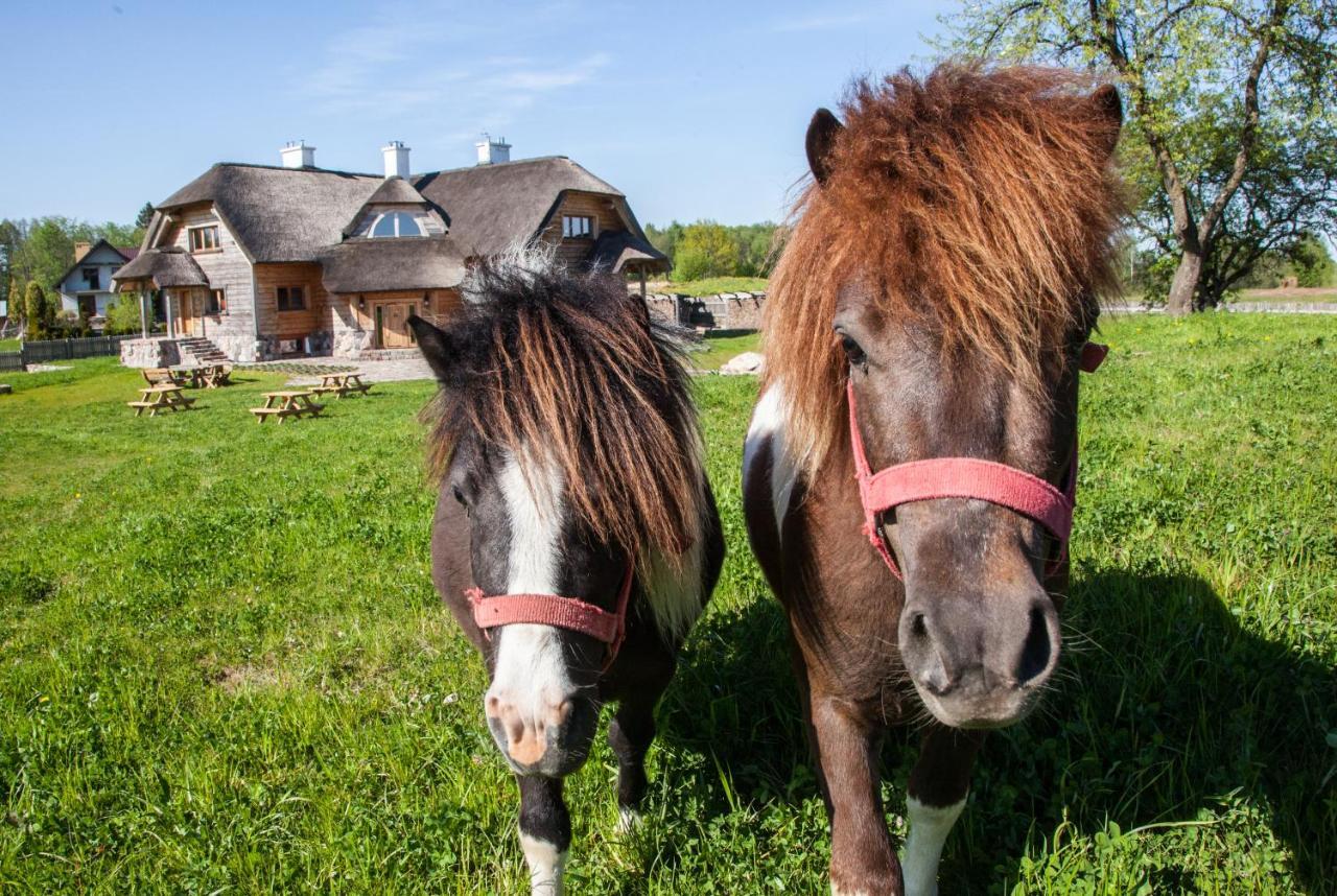 Siedlisko Wigry Bed and Breakfast Rosochaty Rog Εξωτερικό φωτογραφία