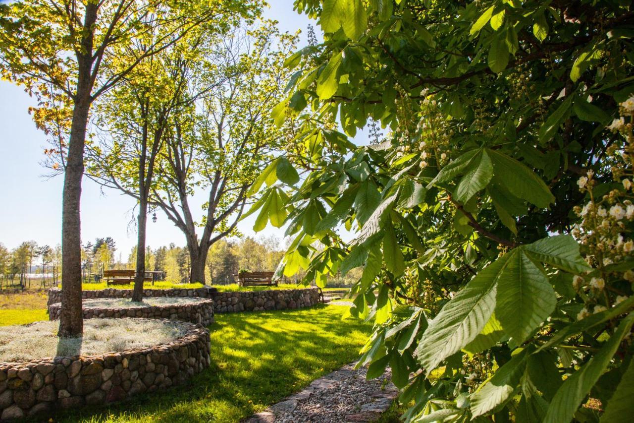 Siedlisko Wigry Bed and Breakfast Rosochaty Rog Εξωτερικό φωτογραφία