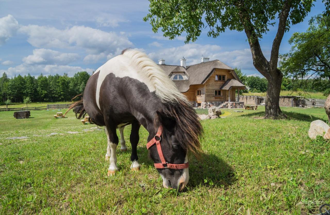 Siedlisko Wigry Bed and Breakfast Rosochaty Rog Εξωτερικό φωτογραφία